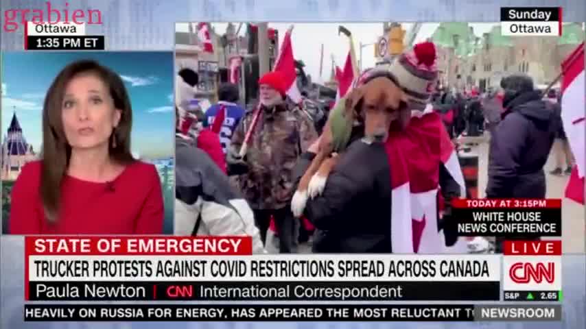 Nationwide insurrection driven by madness