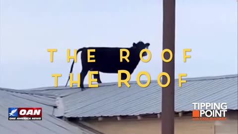 The Roof Is Too Slanted - KIMBERLY CHEATLE - Secret Service (Parody Song)