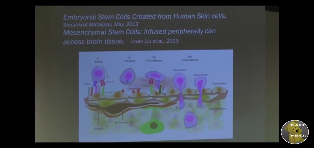 How to Operate a Human with DNA