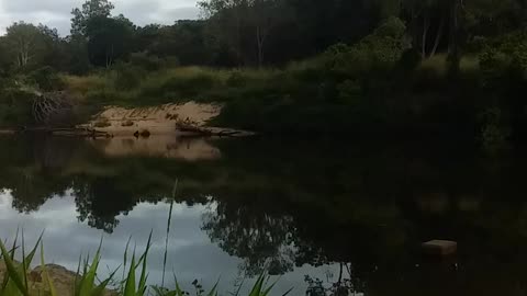 25.10.2024 Barron River, Kuranda