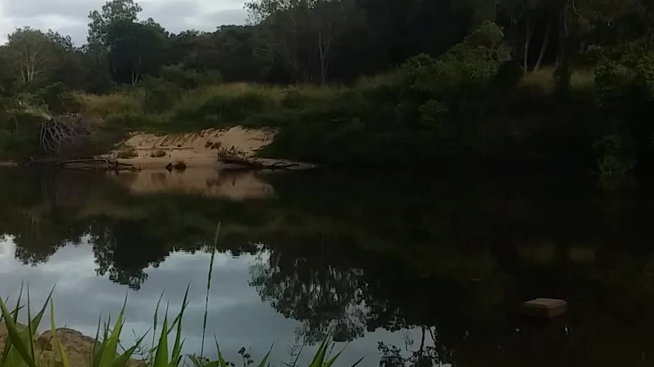 25.10.2024 Barron River, Kuranda