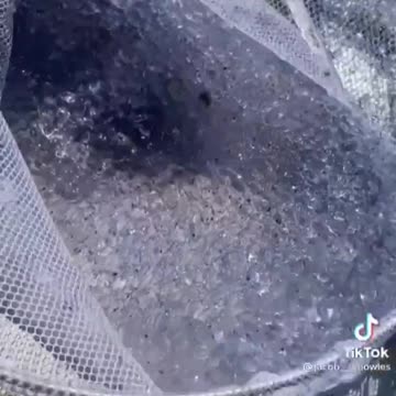 Nano tech in the oceans