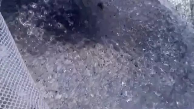 Nano tech in the oceans