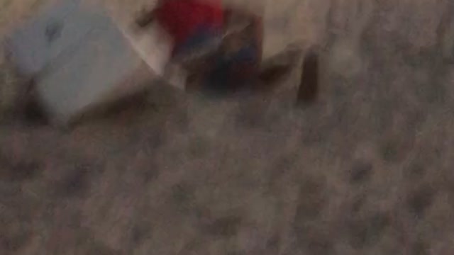 Red shirt tackles trash can on beach near ferris wheel