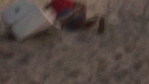 Red shirt tackles trash can on beach near ferris wheel