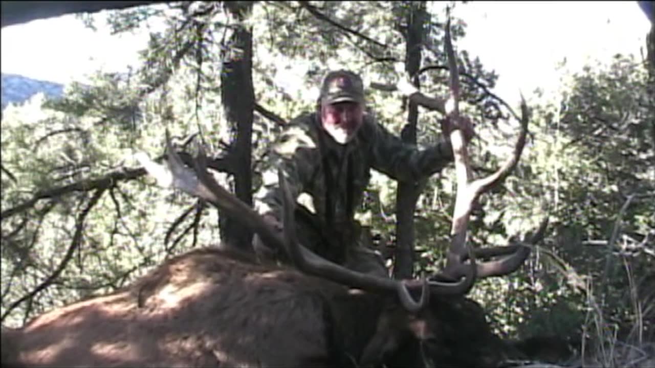 Monster Arizona Bull!