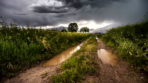 Another Hard Rain