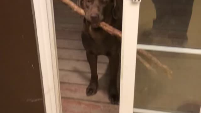 No sticks in the house!