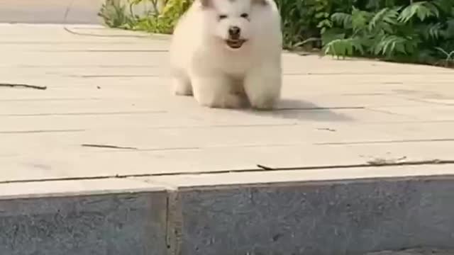 A smile every day, life is better!