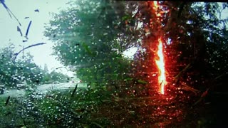 Lightning Strikes Tree, Causing Crash