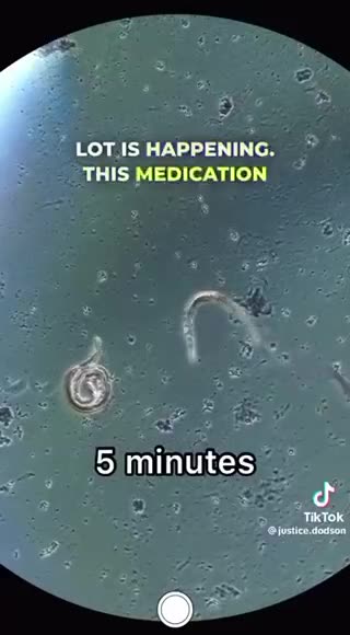 Ivermectin paste in action