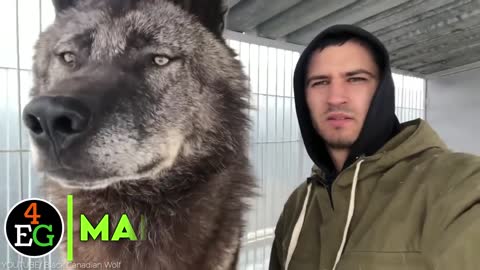 40 Biggest Scary Animals