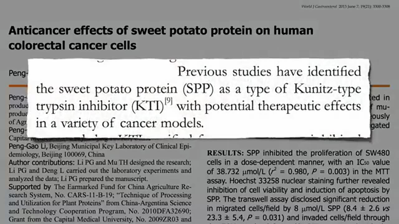 Anti cancer potential of sweet potato