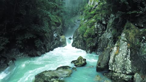 Beautiful Natural river video