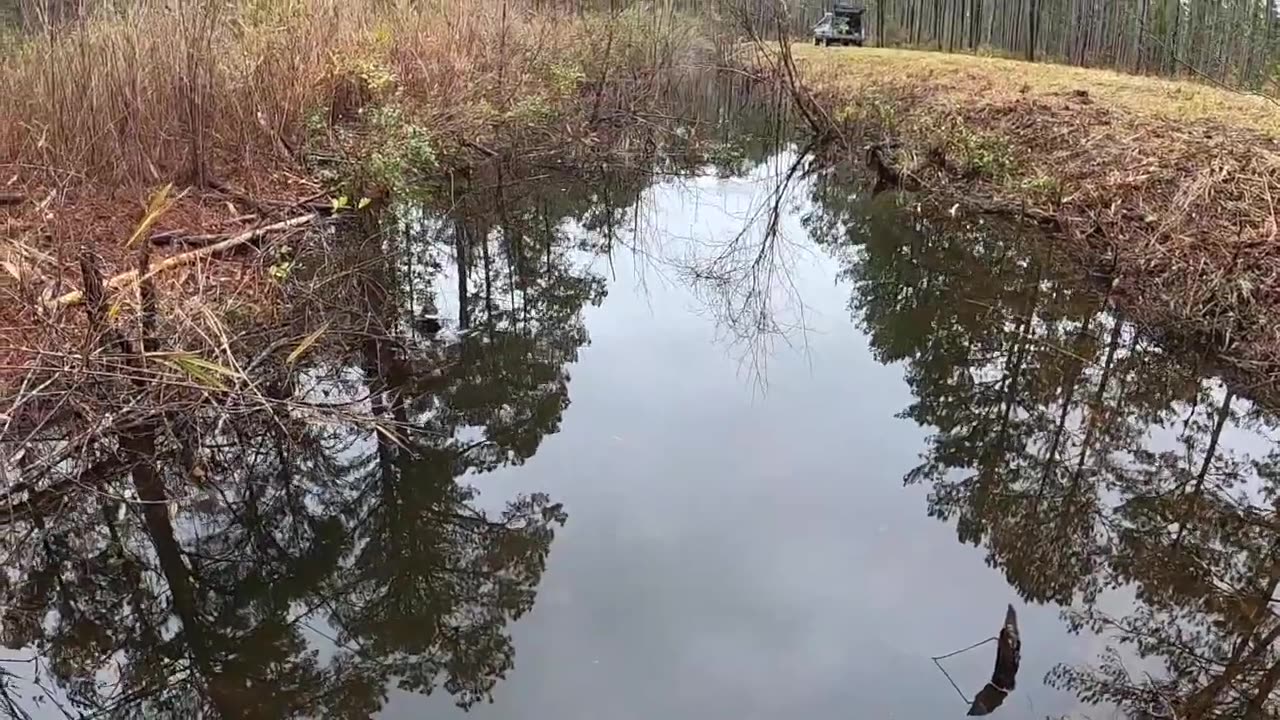 Beaver trapping 101 pt2 Check day 1 and 2