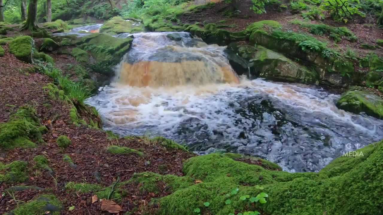 Wicklow Mountains - Ultra HD Nature Video - Water Stream/ Mountains