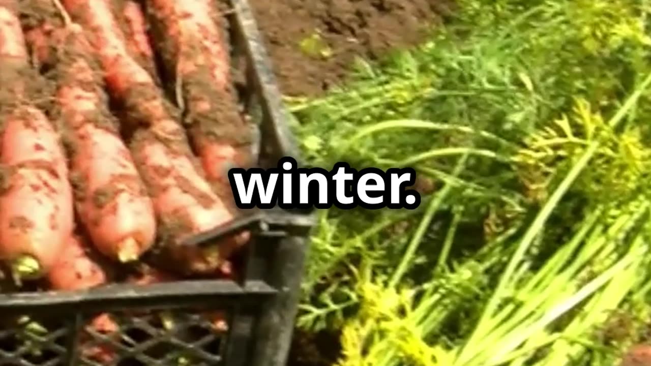 AI video on foods that can still grow in fall in Colorado