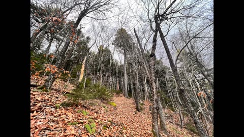 White Cap Mountain... Rumford, Maine🇺🇸 near Sunday River Ski area