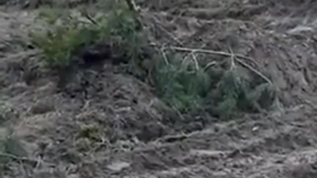 Russian Tanks Abandoned