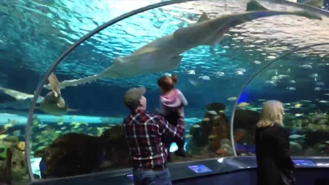 Funny Kids at the Aquarium | Girl SPOOKED By A Beluga Whale!