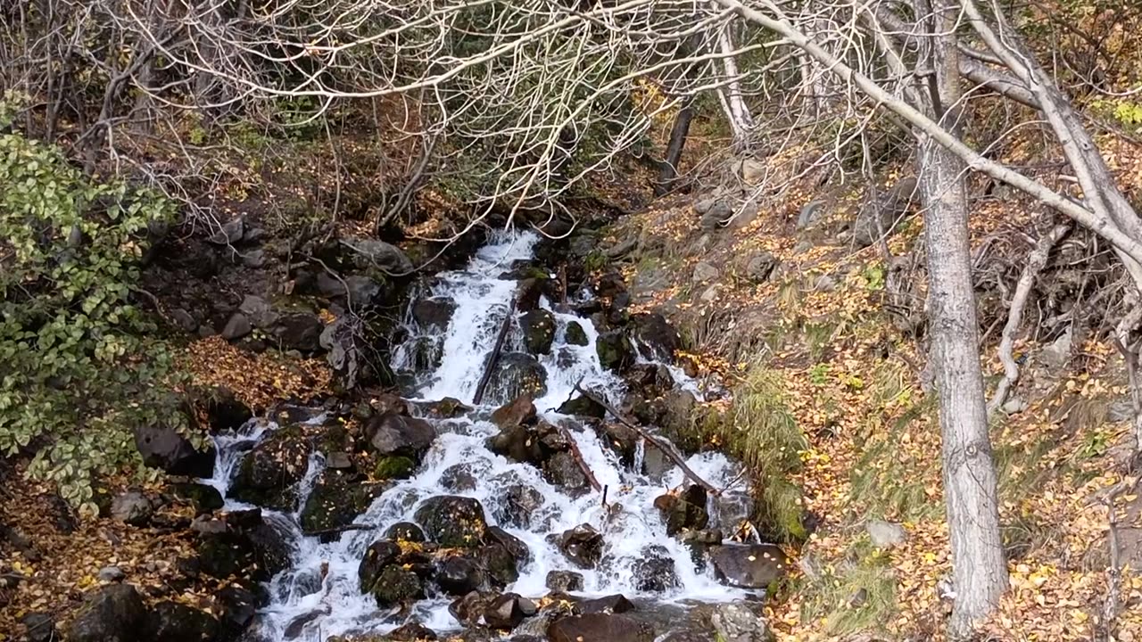 Falls Creek View One