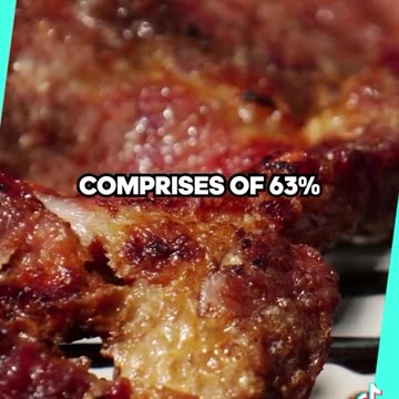 Meat Made From Poo💩🔍🐇