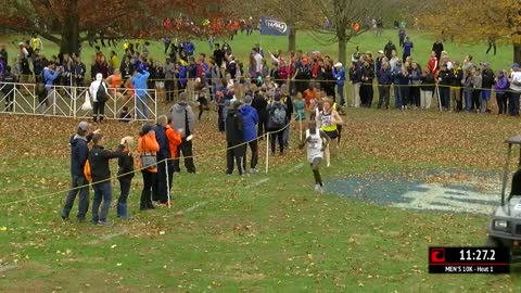 2017 NCAA men's cross country championship