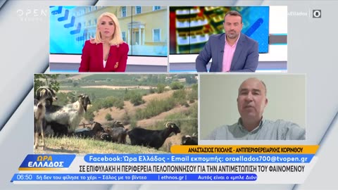 Σφαγές αιγοπροβάτων λόγω πανώλης! Μετά την Θεσσαλία, η Κορινθία! Προς τα πού οδεύει το πράγμα;