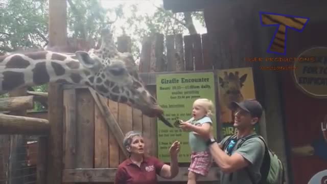 Funny kids vs Zoo animals. OMG!!!!