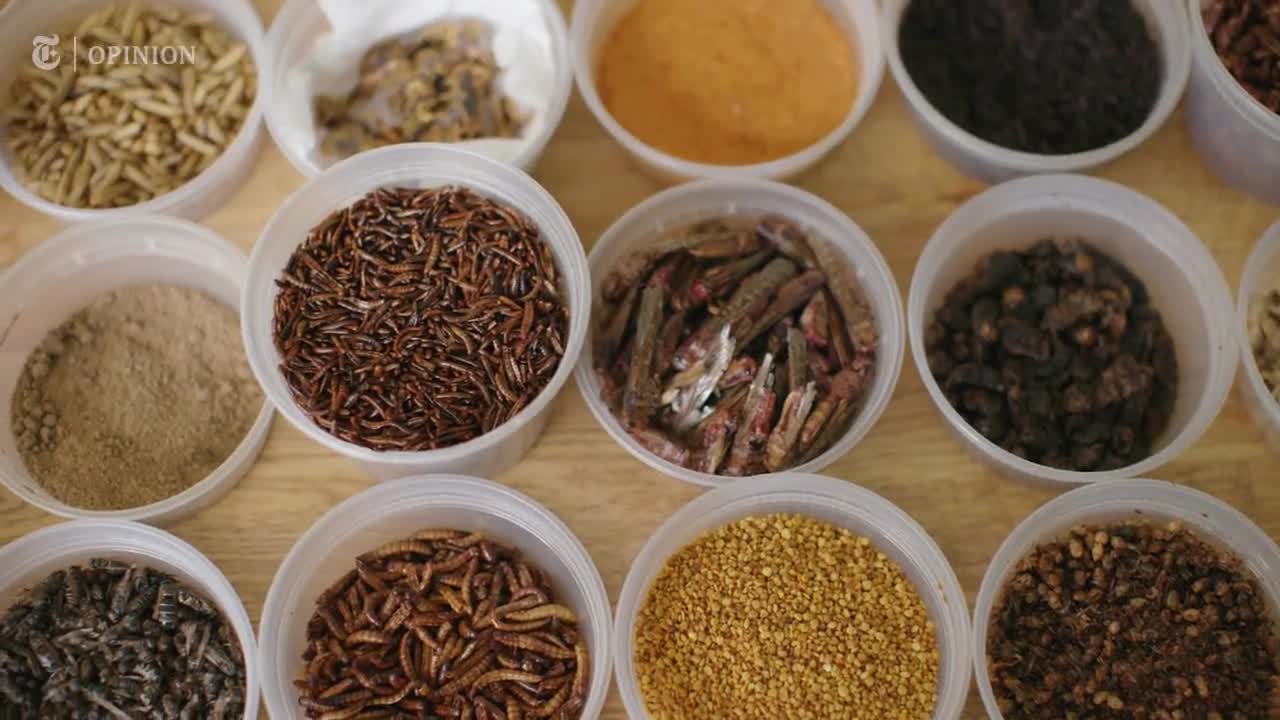 Here, watch this: Globalist-leftist mob wants us to eat insects, while they'll be eating steak