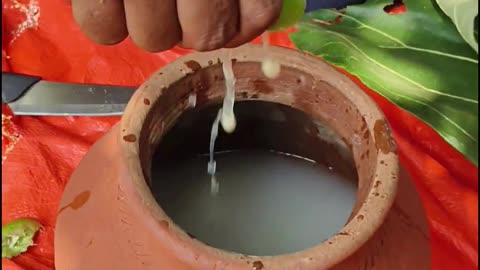 ANDHRA STYLE MUNTA KALLU