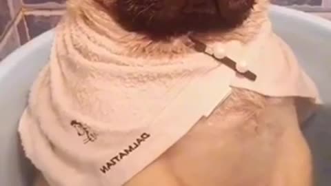 Doggy in water😂😂🐶💦💦