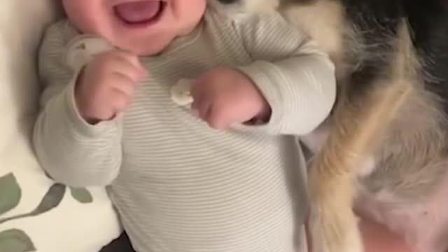 The dog was created specially for children