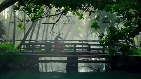 Nature