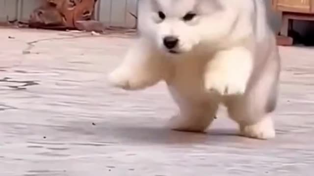 🥰🥰🥰🥰