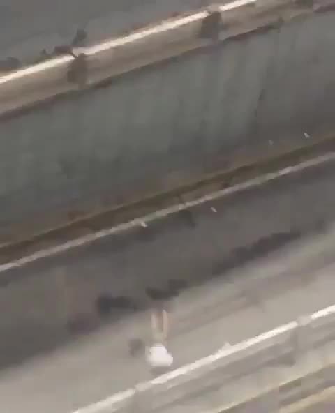 Venezuela: Maduro's Socialist Government Henchmen