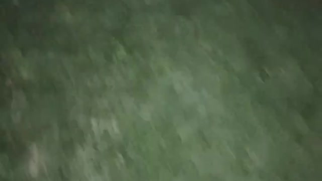 Frogs Sounds | Our Michigan Pond at Night | May 2022 | ASMR