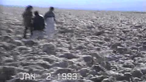 Death Valley 1993