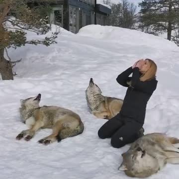 Anti-Loosh Video Number 35. LOOSH is real and bad. Explained below and watch the video!