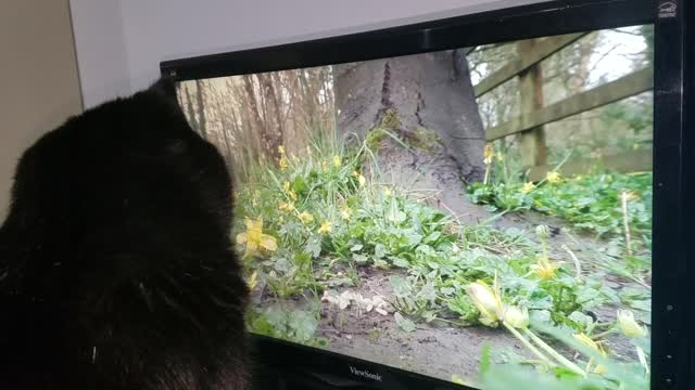 Nikita watches her fav Video Channel