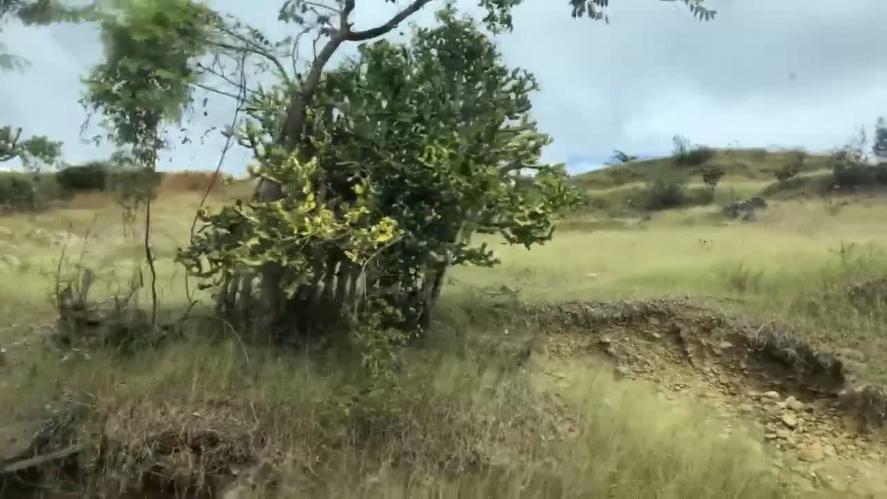 Excursion à Bassin-Zim