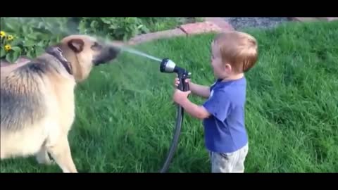 Baby And Dog Funny Video So Funny