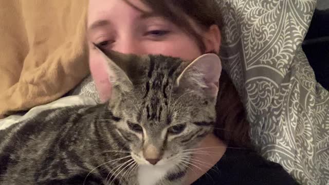 Random Cat Climbs Through Window for a Cuddle