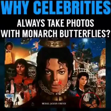 Monarch Programming 🦋