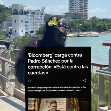'Bloomberg' carga contra Pedro Sánchez por la corrupción: «Está contra las cuerdas»