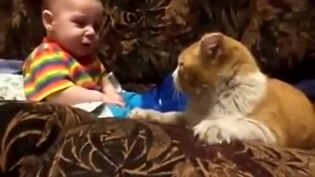 cat plays and headbutts baby