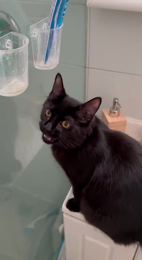 Your tooth brush my tooth brush right? Lol