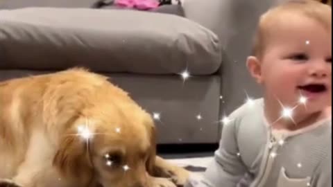 The Cutest Pet & Baby Moments Ever!