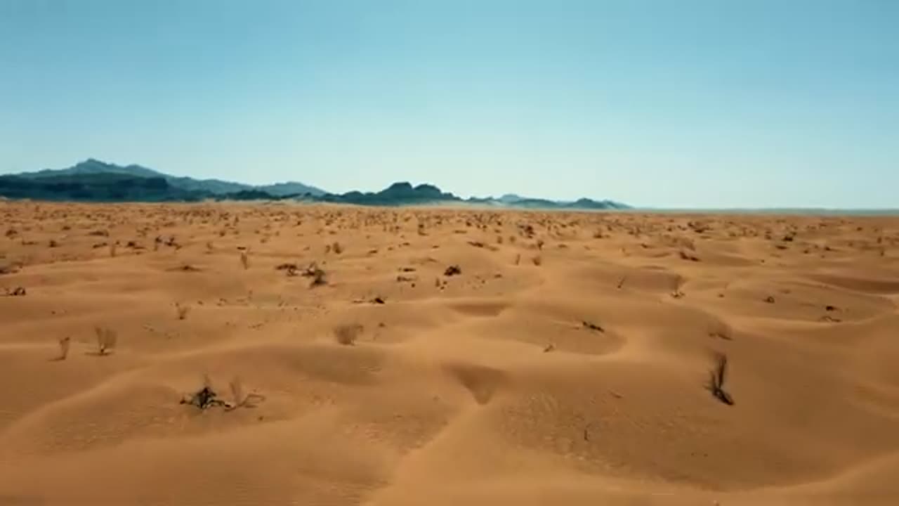 Desert - Dunes - Sand - Travel