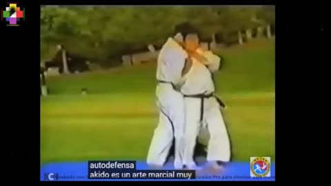Hapkido